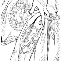 Alexandra Mas&aacute;rov&aacute;