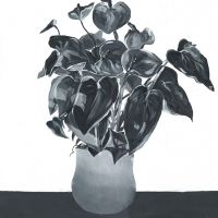 Ema Hod&aacute;lov&aacute;