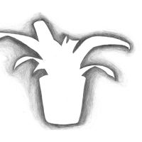 Lea Antal&iacute;kov&aacute;