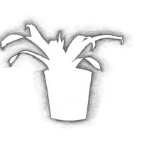 Charlotte Baňasov&aacute;