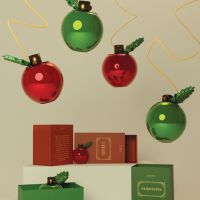 Karin Hrončiakov&aacute;