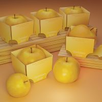 Tereza Koren&aacute;