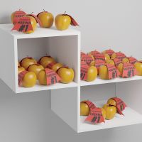 Michal Nemč&iacute;k