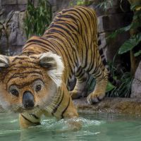 Nina &Scaron;ajdov&aacute;