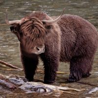 Lea Poszert-Schwarzov&aacute;