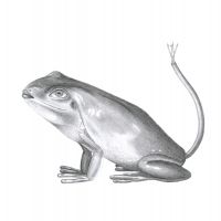 Alica Birku&scaron;ov&aacute;