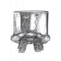 Lea Poszert-Schwarzov&aacute;