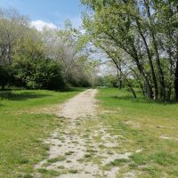 V srdci dunajskej pr&iacute;rody