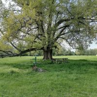 Hojdačka pre zamilovan&yacute;ch