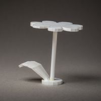 S&aacute;ra Kovačovičov&aacute;