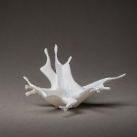 Simona Semanč&iacute;kov&aacute;