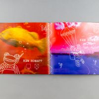 Ela Majchr&aacute;kov&aacute;