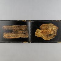 Ter&eacute;zia Hanzelov&aacute;