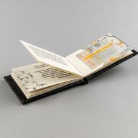 Ema Turkovičov&aacute;