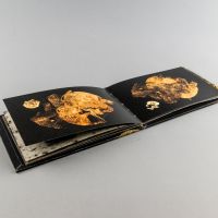 Ter&eacute;zia Hanzelov&aacute;