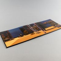 Simona Semanč&iacute;kov&aacute;