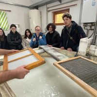 exkurzia do papierničky