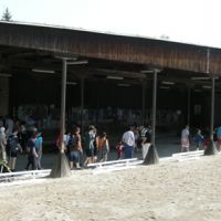  projekt o hipoterapii 2011