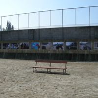  projekt o hipoterapii 2011
