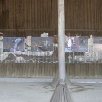  projekt o hipoterapii 2011