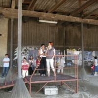  projekt o hipoterapii 2011