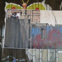  projekt o hipoterapii 2011
