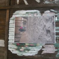  projekt o hipoterapii 2011