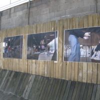  projekt o hipoterapii 2011