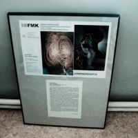 luminografia 2011