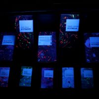 Adela Rebeka Marcellov&aacute;