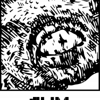 Afsa