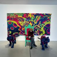 Exkurzia Danubiana textilny dizajn