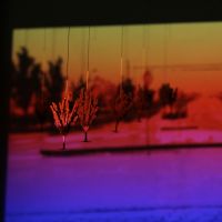Img 7676